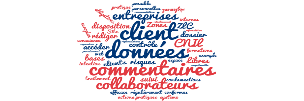 Image Nuage de mots zones de libre commentaire