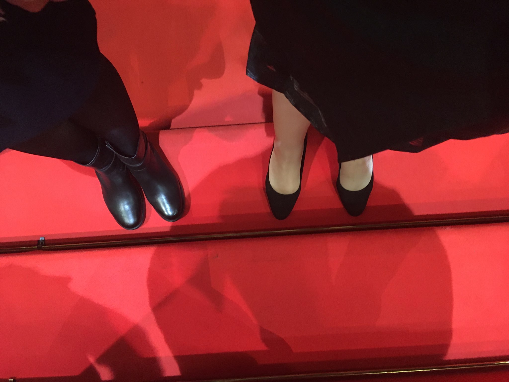 Immortalisation of ERDIL walking on Cannes' red carpet (Photo)