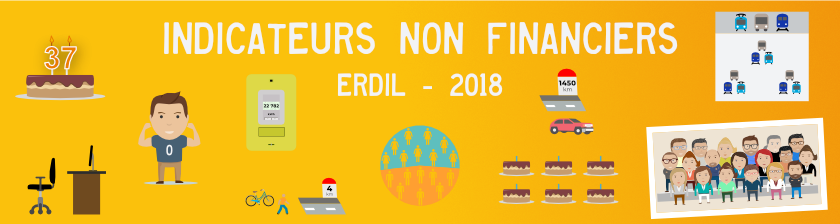 Indicateurs non financiers 2018 ERDIL (Aperçu infographie)