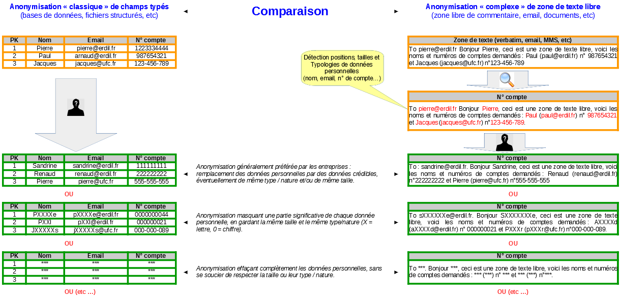 Différents exemples d'anonymisation (Image)