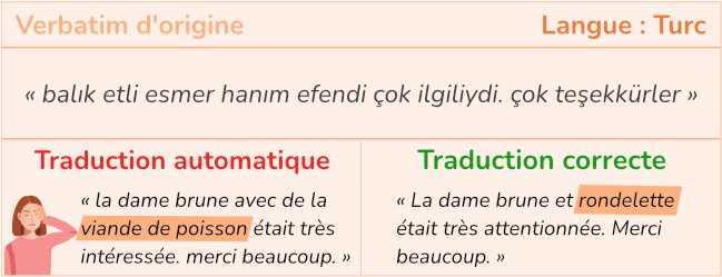 Expressions figées, proverbes traduction automatique turc (Illustration exemple 1)