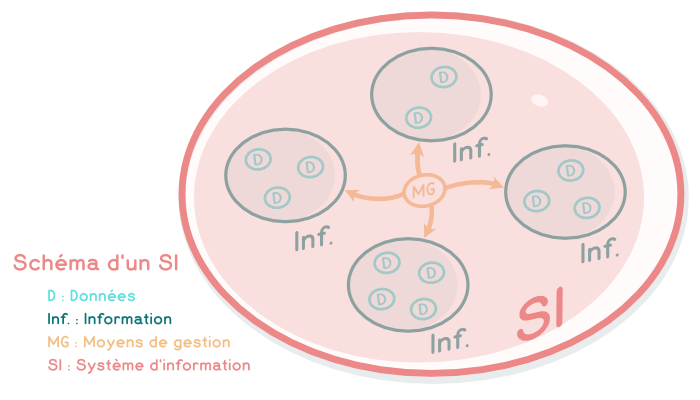 Schéma Système d’Information (SI) Schéma Système d'Information (SI) (Illustration)
