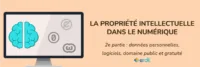 Propriété intellectuelle numérique partie 2 : données personnelles, logiciels, domaine public, gratuité (Illustration)
