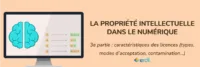 Propriété intellectuelle numérique partie 3 - caractéristiques licences : types, acceptation, contamination (Illustration)